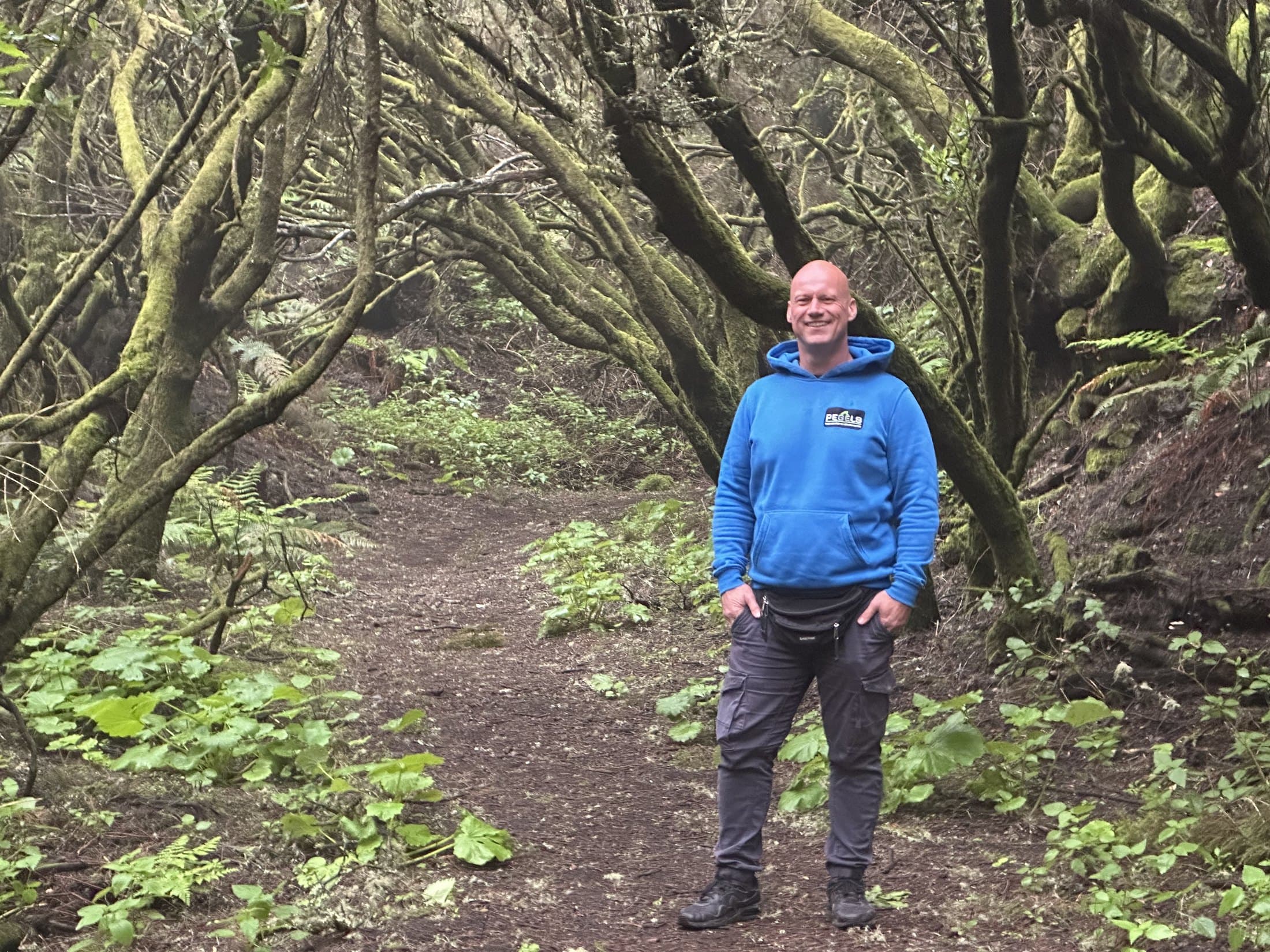 Pegel – Patrick Petersen auf einem mystischen Waldweg, blauer Pegel-Hoodie
